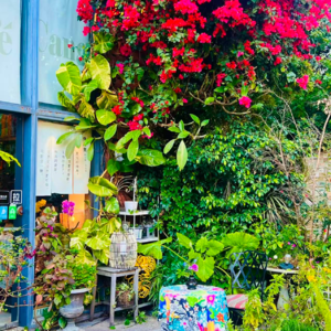 E018 人人都有审美力｜藏珑坊主理人桑妮聊审美与自信