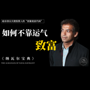 颠覆认知的财富底层代码《纳瓦尔宝典》，普通人破局必看，揭开靠勤奋致富的谎言