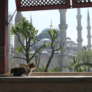 EP10 土耳其之旅(2)-初遇伊斯坦布尔 城墙 土耳其浴