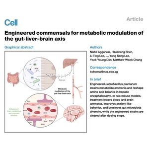 962-Engineered Metabolic Modulation of Gut-Liver-Brain Axis