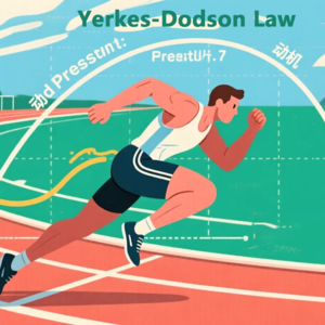 83丨耶克斯·多德森定律