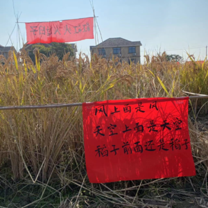 Vol 23 从食物设计到永续农业,她边种地边写诗