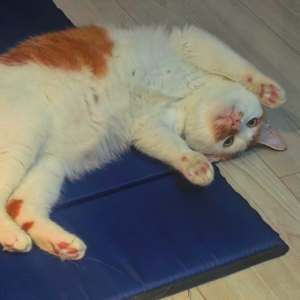 004-工作与离职漫谈