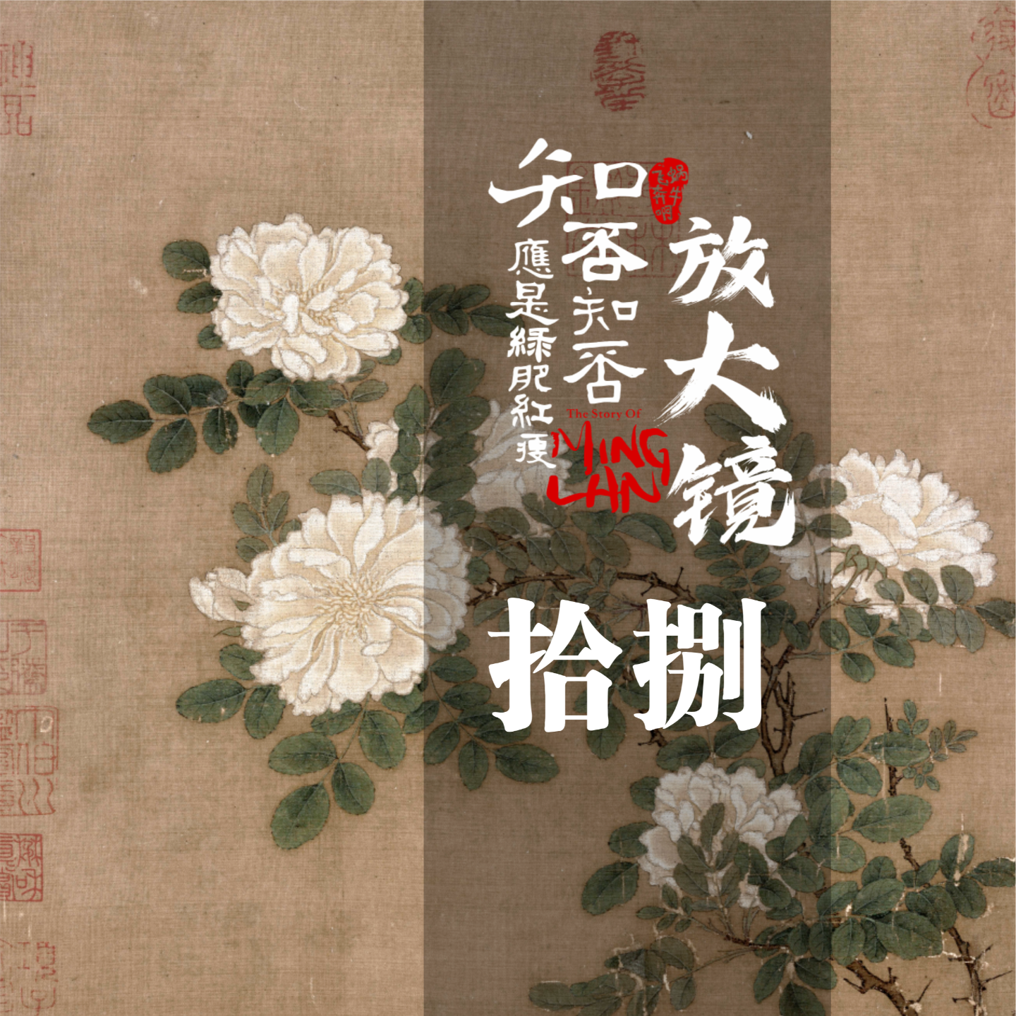 知否放大镜 18：论宠妾的语言艺术 episode artwork
