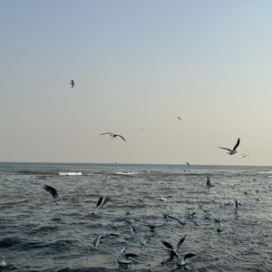 podcaster-avatar