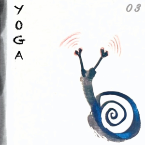 瑜伽｜然冰：聊聊百年瑜伽学院Kaivalyadhama,聊聊瑜伽和生活