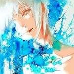 云雀晴