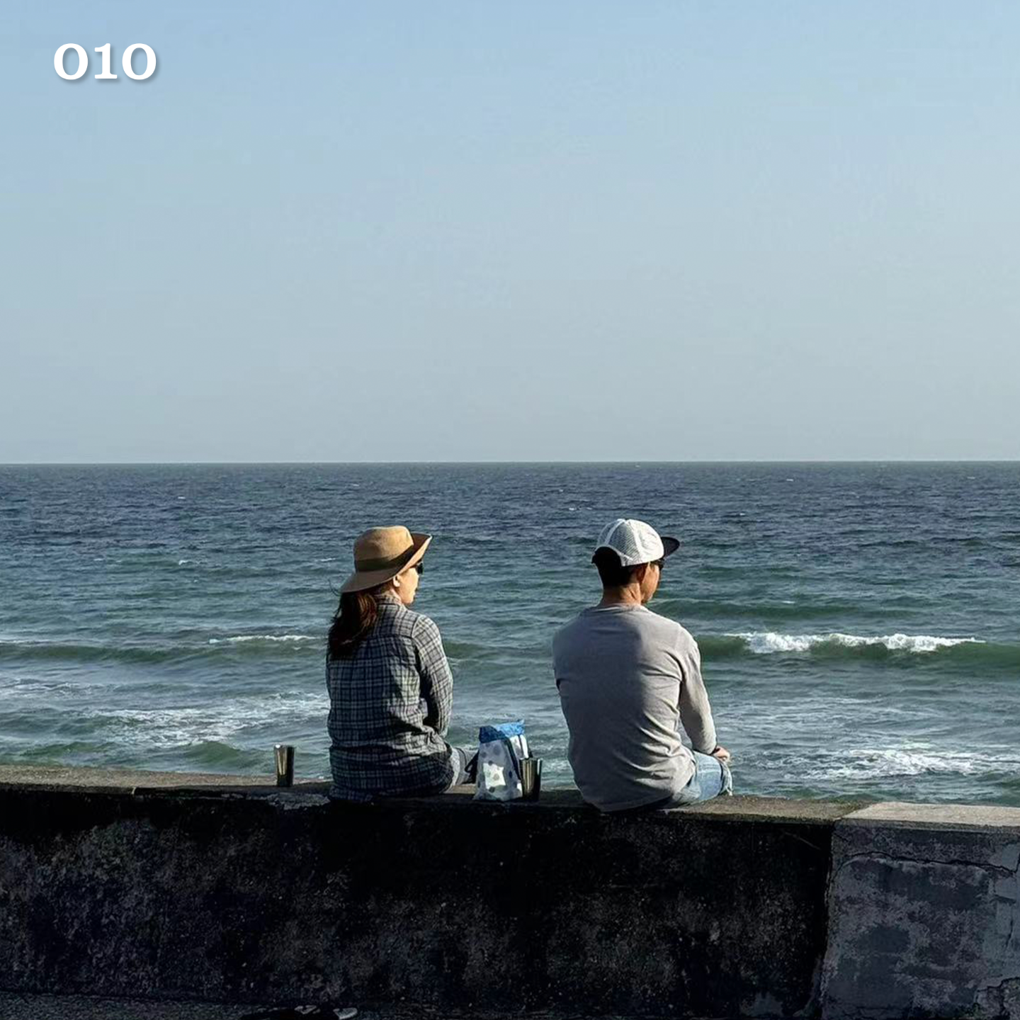 010.各位要去马来西亚和日本旅游的刘亦菲，你们的出行指南来咯！