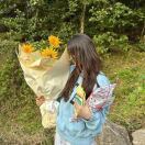 流川枫胜过樱木花道