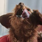 灵感薯片
