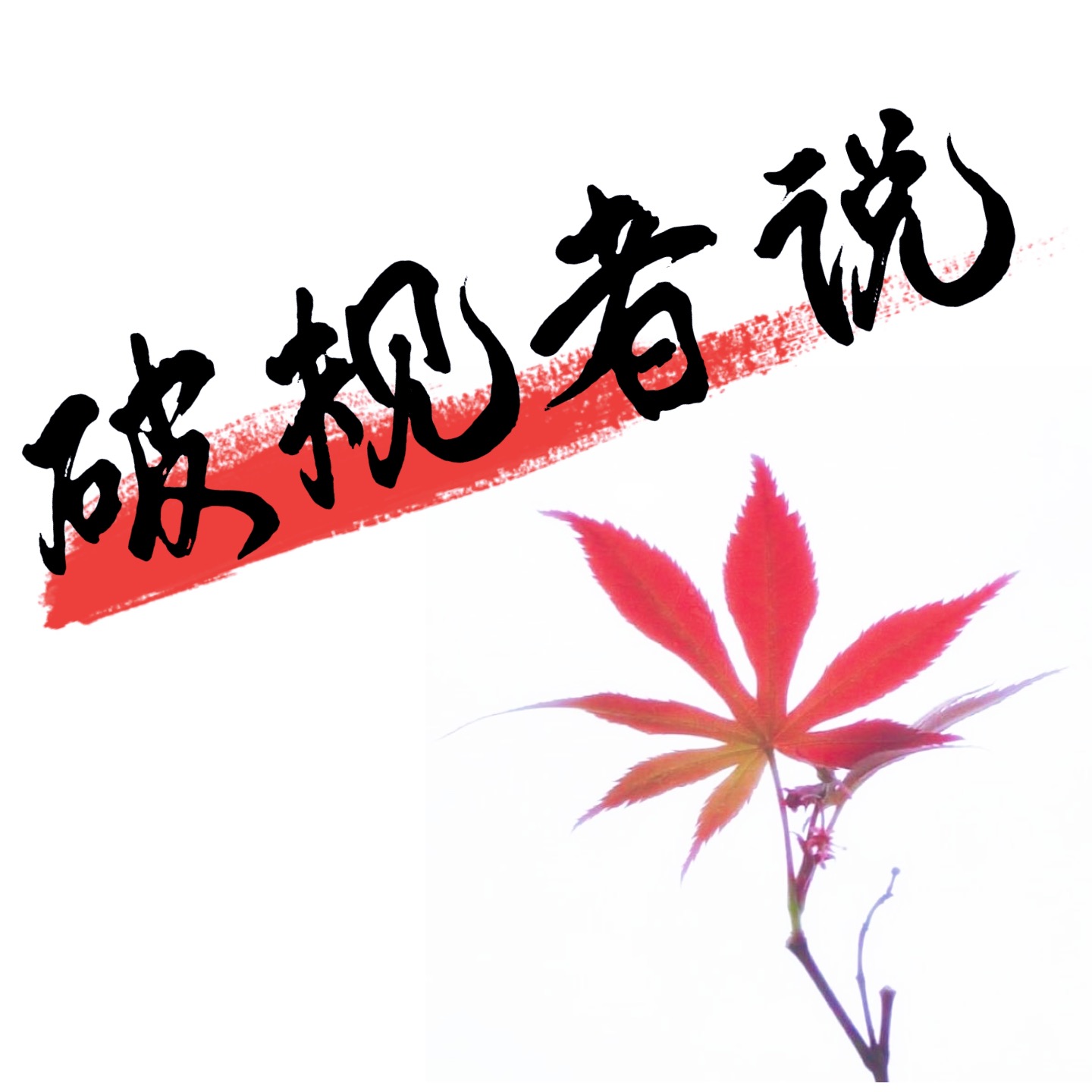 破规者说 cover art