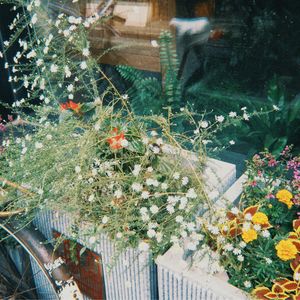 podcaster-avatar