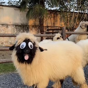 Jaya的听筒