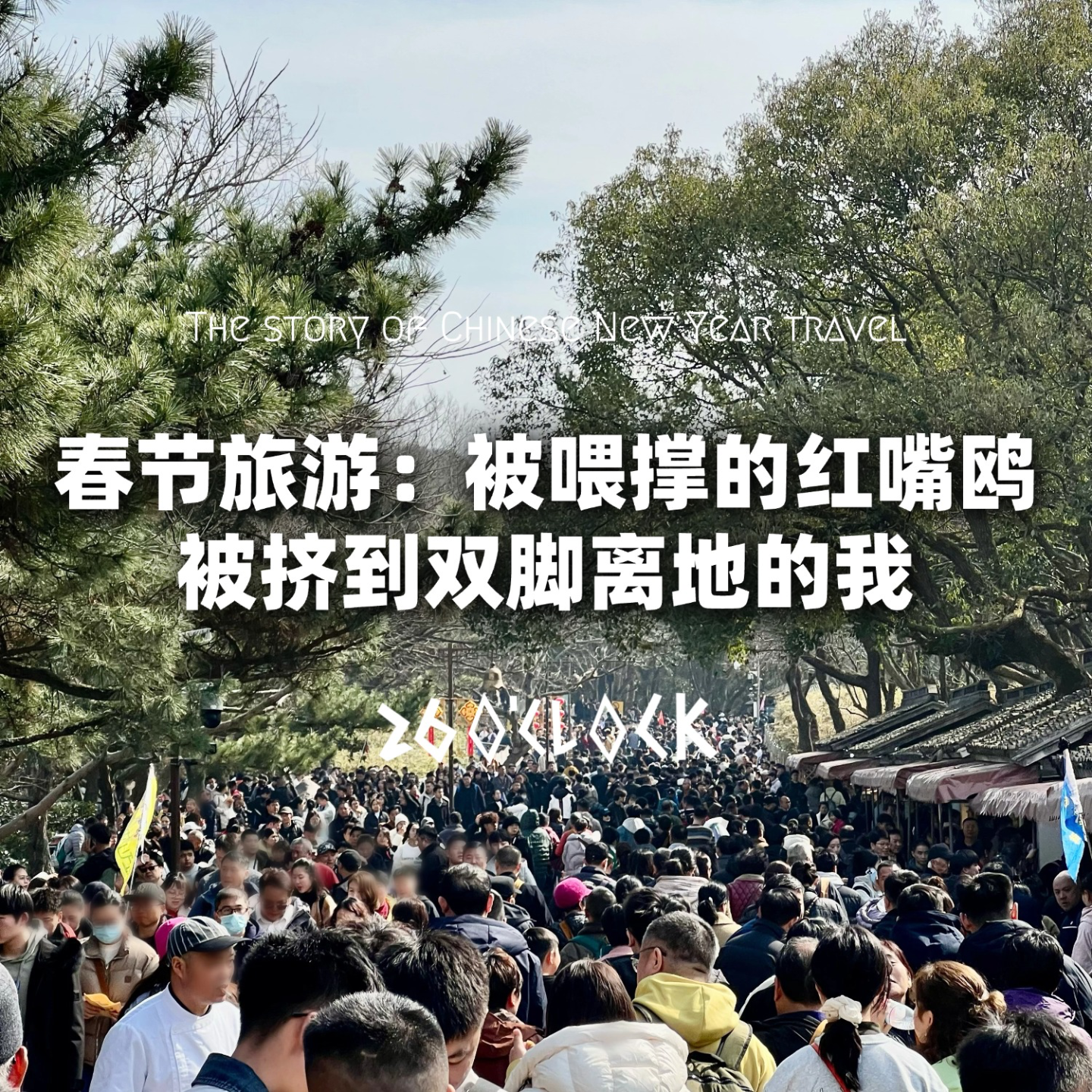 春节旅游：被喂撑的红嘴鸥！被挤到双脚离地的我！ episode artwork