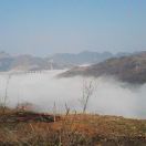杨琴去去再来