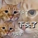 不爱说话_
