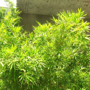 英语小题一一完形填空