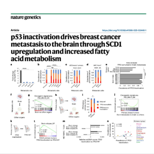 474-p53 Inactivation in Breast Cancer Metastasis