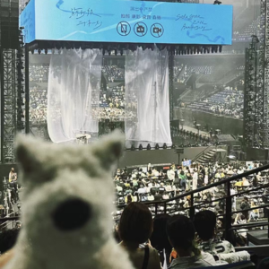 做人很苦，但是长大真好！