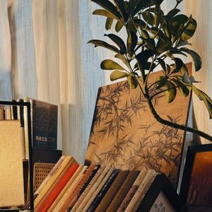 林杉没什么大不了