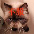 这位宋女士