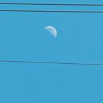 企鹅崽崽追着夕阳跑