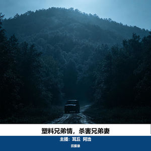 20 塑料兄弟情,害死兄弟妻|浙江临海抢劫杀人埋尸案