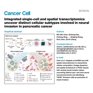 034-Distinct cellular subtypes involved in neural invasion