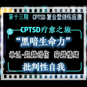 旷野漫谈||第十三期（1）CPTSD疗愈之旅：提炼“黑暗生命力”