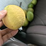 大汉朝阳