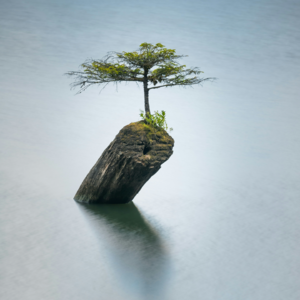 EP186 选择特征的最佳方法是什么