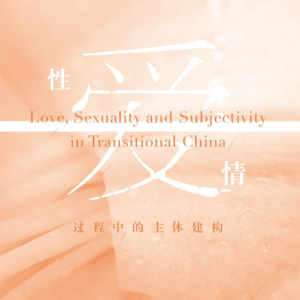 认知框架书单详解——No. 9「男女篇《性、爱、情过程中的主体建构》」