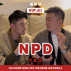 如何与NPD的切割；舍弃自我牺牲的助人情节；解决共情过度的自我内耗；实现自恋与完美主义的平衡
