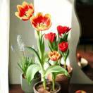 海绵离不开宝宝_zrRu