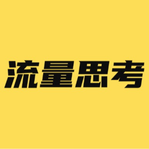 对流量的30个观点