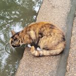 走出阴霾