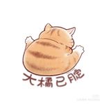 帅里帅气de熊