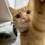 婷er的精神世界