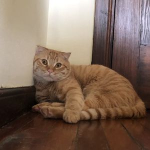 史蒂夫说180期 - 如何以尽可能健康的方式分手？