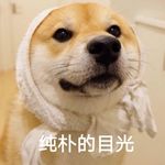 哈哈哈奥卡姆剃刀