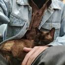 分手别把锅带走