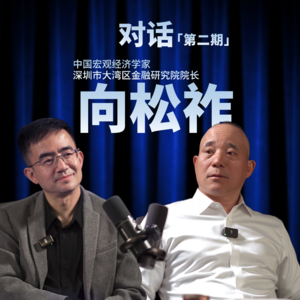 陈为对话向松祚:人类会成为AI的宠物吗?