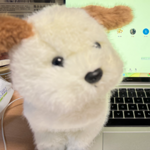 新的一年，准备好和我一起变强了吗？