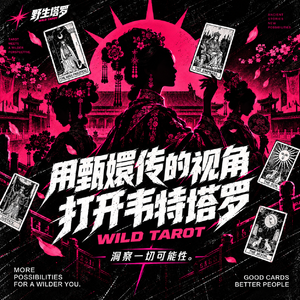 VOL.33 用《甄嬛传》打开韦特塔罗