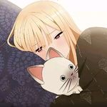苹果派x
