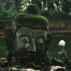 Vol.20 泰国清迈🇹🇭 | 如何开启一场人均3000的躺平旅居生活