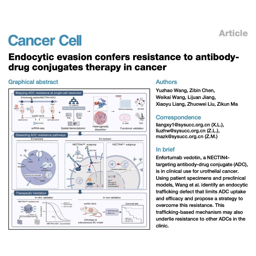 1092-Endocytic Evasion & Drug Resistance episode artwork