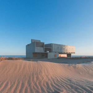 Vol.21 从孤独美学到新型陪伴,商业如何回应孤独?