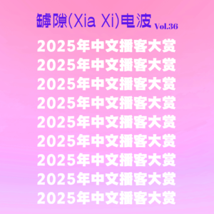 2025年度中文播客大赏 (年度播客推荐)