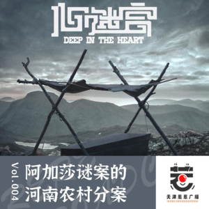 vol.4 惹惹电影:《心迷宫》